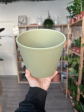 Load image into Gallery viewer, Pistachio Pot
