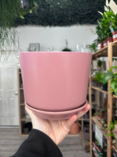 Load image into Gallery viewer, Dark Pink Pot With Saucer
