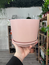 Load image into Gallery viewer, Light Pink Pot With Saucer
