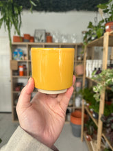 Load image into Gallery viewer, Mustard Pot

